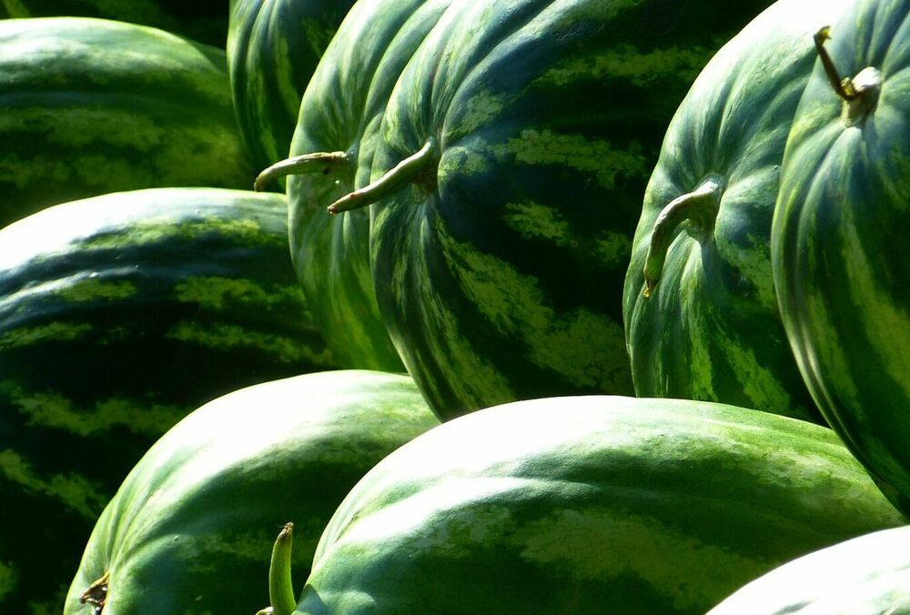 Сезон кавунів: чим корисна ягода, і кому краще від неї відмовитися