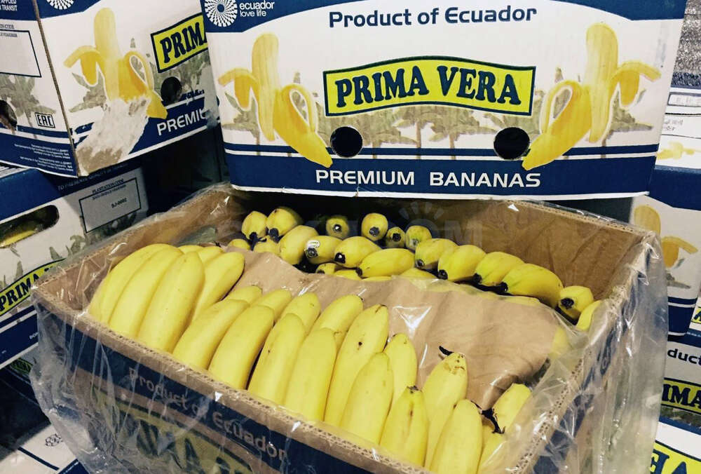 Через порт ”Южный”  в ящиках с бананами  хотели провезти крупную партию кокаина