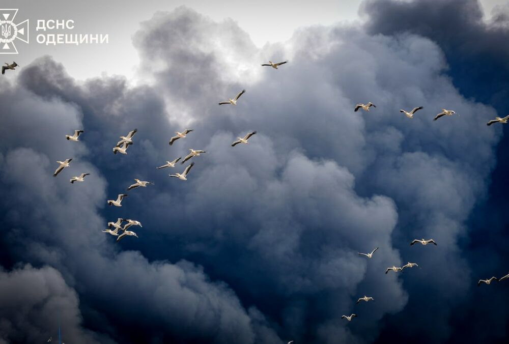 Россия за неделю обстреляла Украину более 380 раз