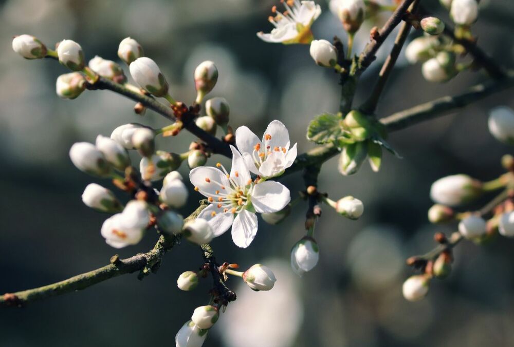 Перші грози: якою буде погода в перший день квітня