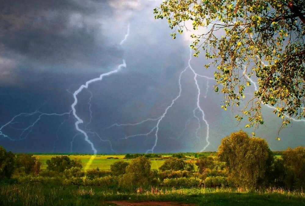 Украину до конца недели накроют грозы и шквалы