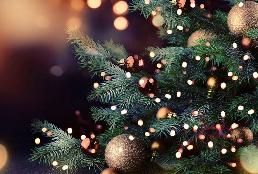 В Киеве с 4 января будут работать 44 пункта утилизации елок