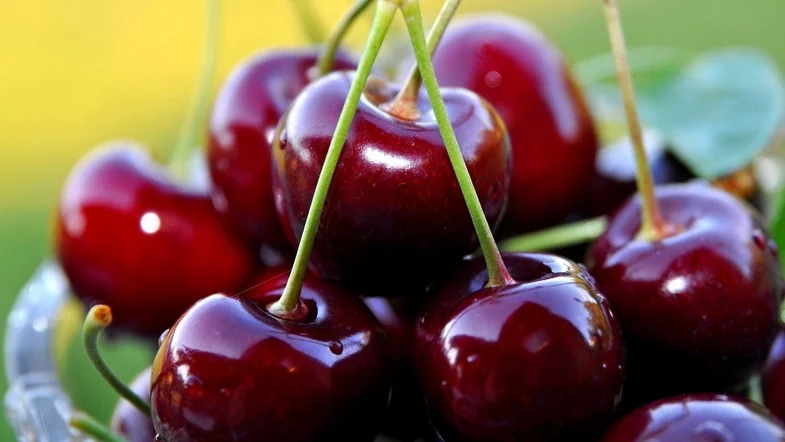 Фермеры Мелитополя подсунули оккупантам отравленную черешню Фермеры Мелитополя подсунули оккупантам отравленную черешню