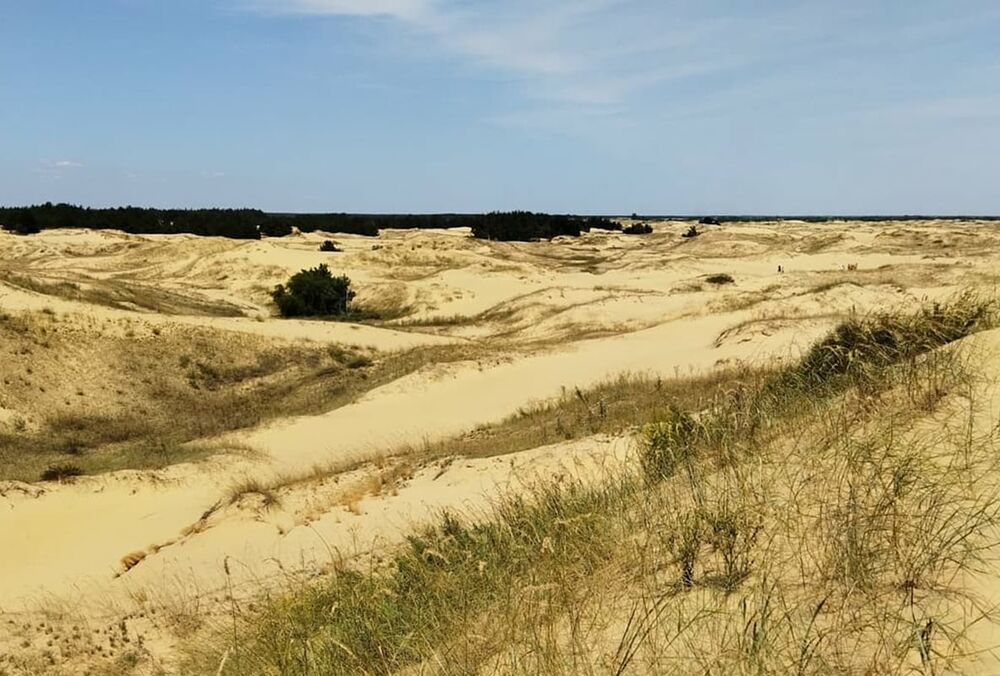 ”Нема з ким зв'язатися, людей немає”: Деякі села окупованого лівого берега Херсонської області безлюдні