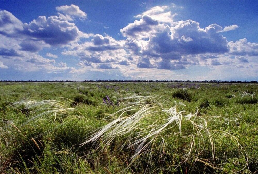 Синоптик рассказала, какой будет погода в Украине до конца этой недели 