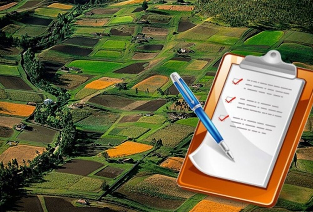 Володимир Зеленський затвердив рішення РНБО про підготовку до запровадження ринку землі