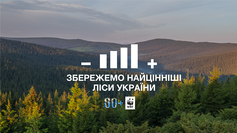 Час Земли 2021 в Украине — сохранение вековых лесов