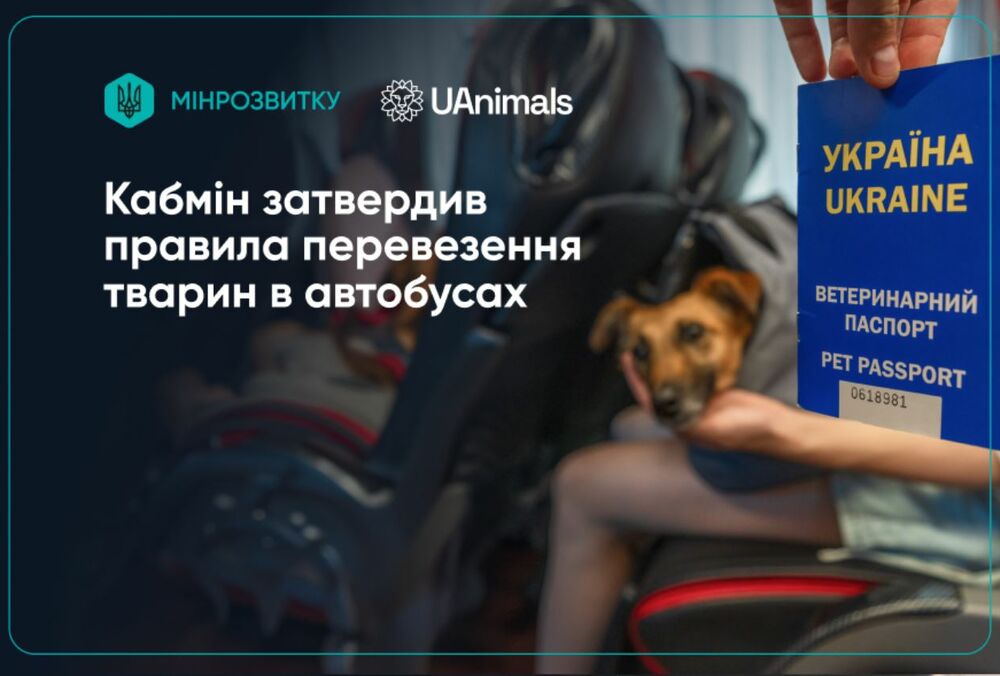 В Украине утвердили единые правила перевозки животных в автобусах