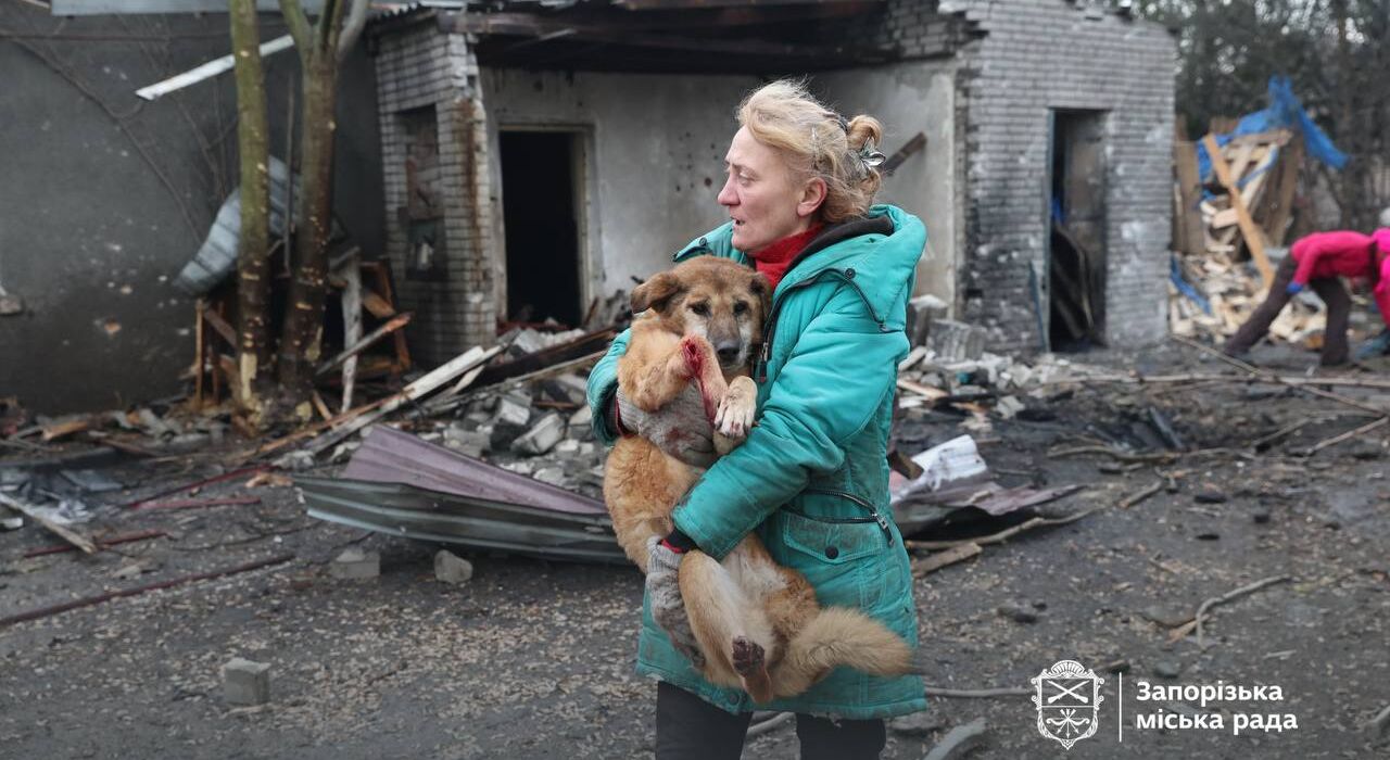 Приют для собак разрушен из-за российской атаки в Запорожье: есть погибшие и раненые животные (кадры)