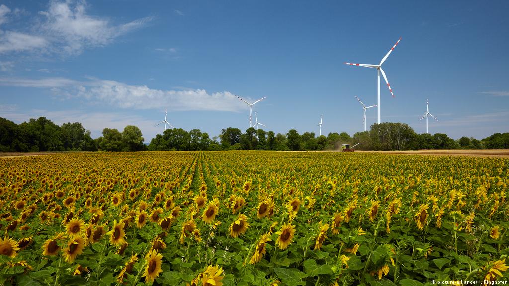 Возобновляемая, доступная и чистая энергия - цель устойчивого развития № 7 — фото 4