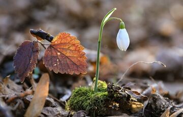 Прогноз погоди: в Україну повертається похолодання