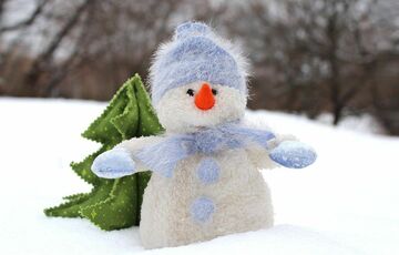 Синоптик спрогнозувала погоду в новорічну ніч