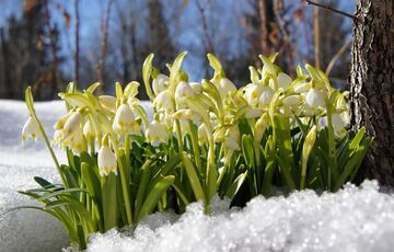 Календар святкових днів у березні 2022 року