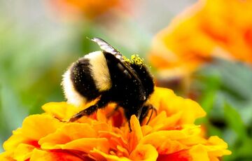В Україну повертається тепло: прогноз синоптиків