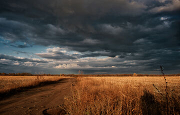 Украина активно сотрудничает с Европой по экспорту аграрной продукции
