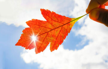 Погода в Україні: дощі почнуть вщухати