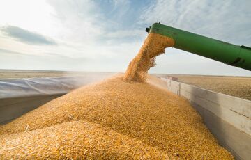 Росія готує нову зернову угоду без України, - Bild Росія готує нову зернову угоду без України, - Bild