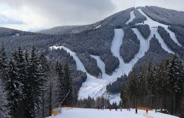 Украинцы рассказали о заоблачных ценах на питание в Буковеле