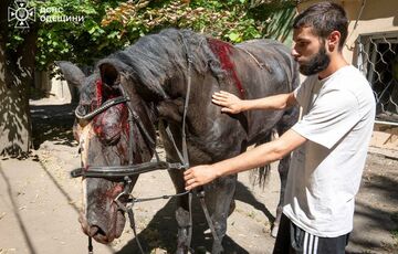 Число раненых в Одессе возросло до 11 человек