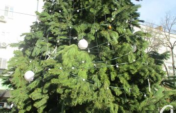 Дело вкуса: в России уличную новогоднюю елку ”украсили” мусором, - ВИДЕО