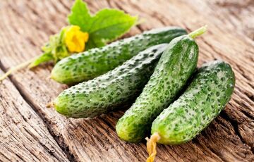 В Україні почали раптово падати ціни на огірки