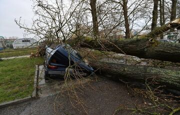 В Польше во время урагана погиб украинец