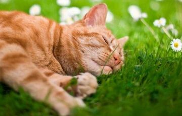 Грозовий прогноз: погода в Україні 17 травня