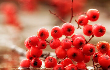 Повертаються холод і дощі: прогноз погоди в Україні