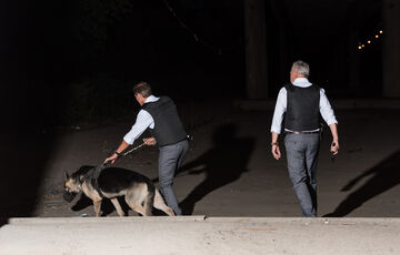 У Німеччині влаштували облаву на українських заробітчан