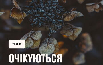 Погода в Україні різко зіпсується: очікуються заморозки та сильний вітер Погода в Україні різко зіпсується: очікуються заморозки та сильний вітер