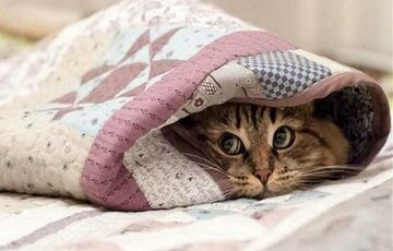 Погода в Україні: синоптики обіцяють прохолодний, але сонячний день