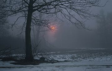 Туманный прогноз: какой будет погода в Украине сегодня