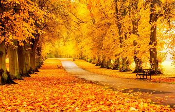 1 сентября в Украину ворвется похолодание