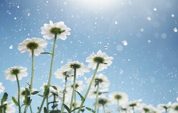 Прогноз погоди: де очікуються сильні грози