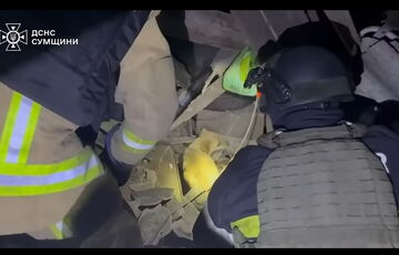 На Сумщині з-під завалів після російського обстрілу врятували собаку (фото, відео)