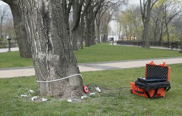 У Києві ”хворі” дерева виявляти за допомогою спецобладнання з Німеччини - КМДА У Києві ”хворі” дерева виявляти за допомогою спецобладнання з Німеччини - КМДА