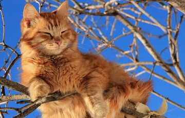 В очікуванні потепління: прогноз погоди в Україні