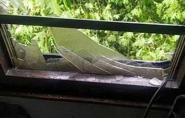 Во Львовской области на пригородный поезд упало дерево