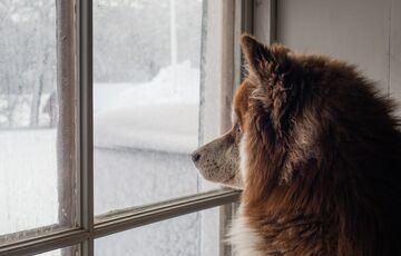 Прогноз погоди: новий тиждень в Україні розпочнеться з опадів