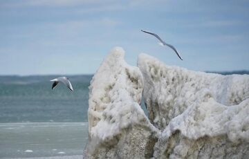 Естонія готується закрити Фінську протоку для російських кораблів  Естонія готується закрити Фінську протоку для російських кораблів