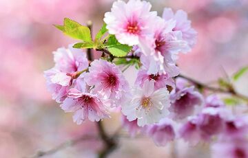 Синоптики рассказали, каким будет первый день мая