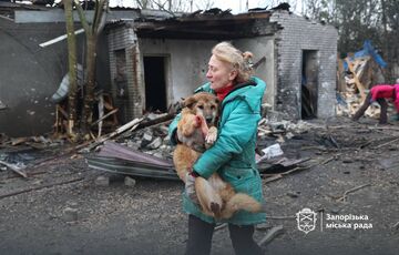 Приют для собак разрушен из-за российской атаки в Запорожье: есть погибшие и раненые животные (кадры)
