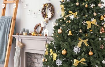 Штучна або жива: лікар Комаровський розповів, чим можуть бути небезпечні новорічні дерева Штучна або жива: лікар Комаровський розповів, чим можуть бути небезпечні новорічні дерева