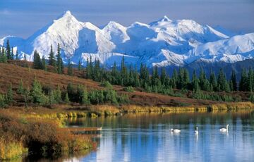 Трамп та Путін зустрінуться на Алясці 15 серпня