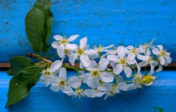 Прогноз негоди: в Україні похолодає і підуть дощі