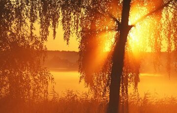 Синоптик попередила про відчутне похолодання