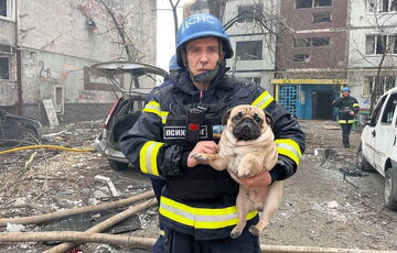 Оккупанты могли обстрелять Запорожье из РСЗО ”Торнадо”: новые детали удара