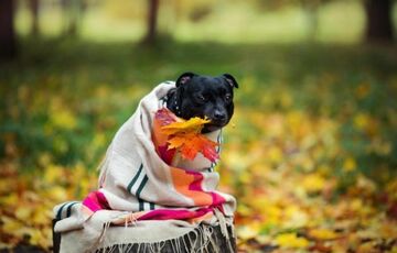 Погода в Україні: дощі припиняться, але тепліше не стане