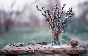 Прогноз погоди в Україні: температура поступово піднімається