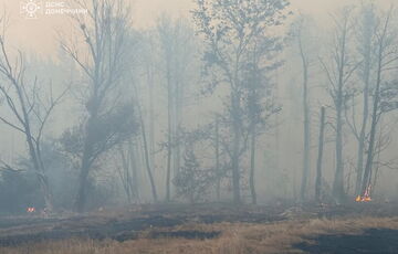 На Харківщині розбушувалася потужна лісова пожежа: евакуйовано сотні людей
